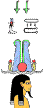 Tatenen (Tatjenen)